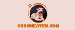 Chowheaten.com